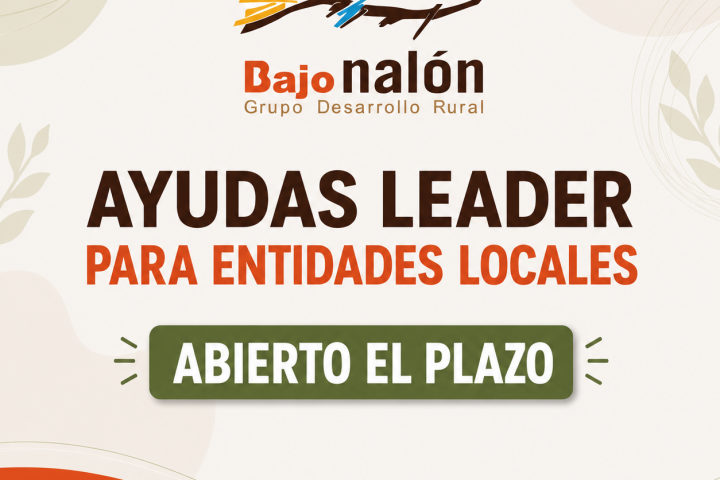 entidades locales 26